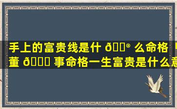 手上的富贵线是什 💮 么命格「董 🐋 事命格一生富贵是什么意思」